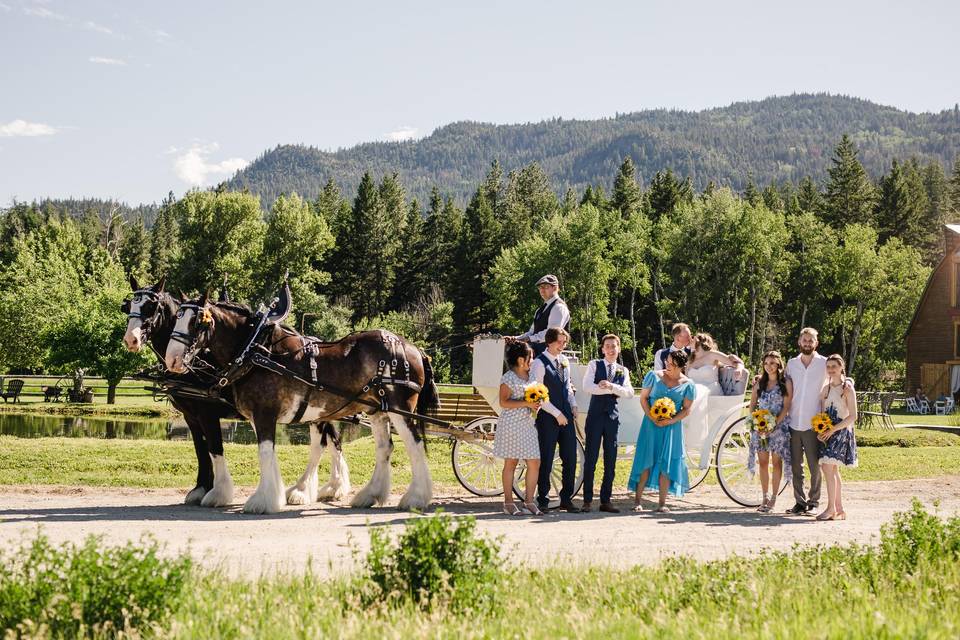 Wedding party with horses