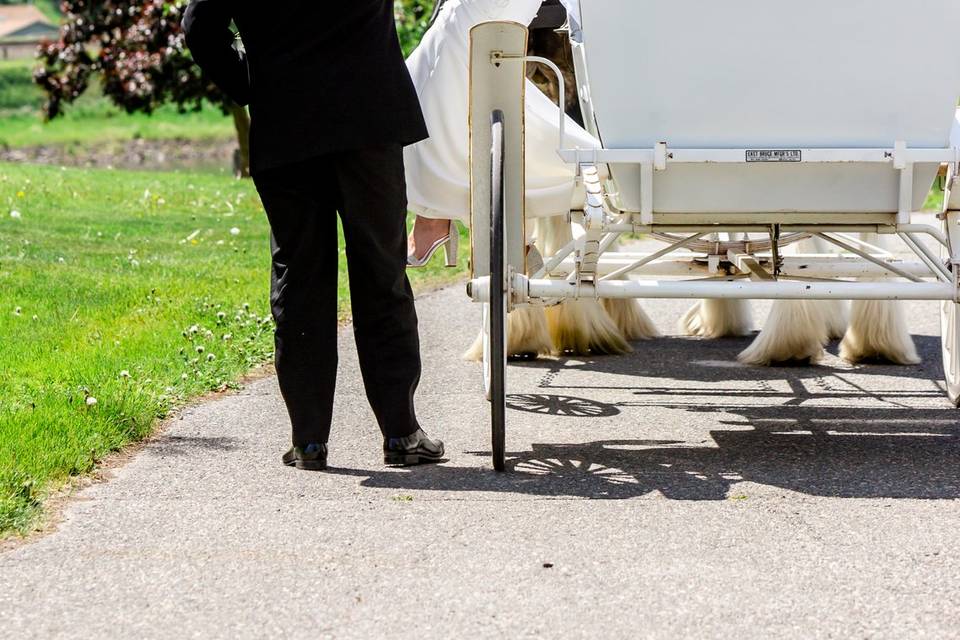 Golf and Country Club carriage