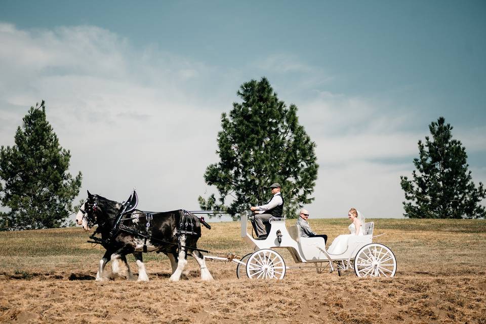 Ranch wedding