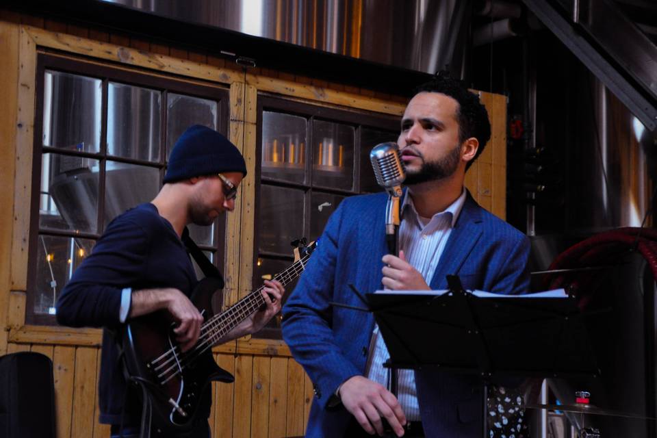 The wedding musicians