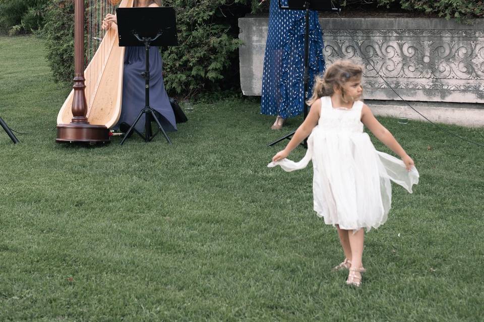 Music and harp