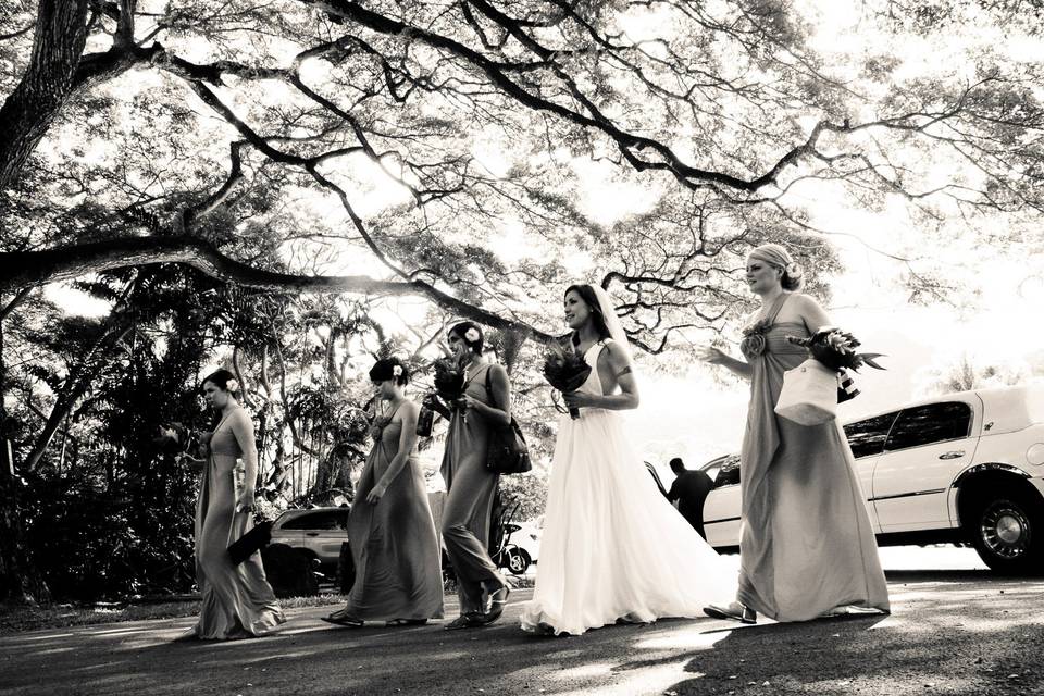 Hawaii Wedding