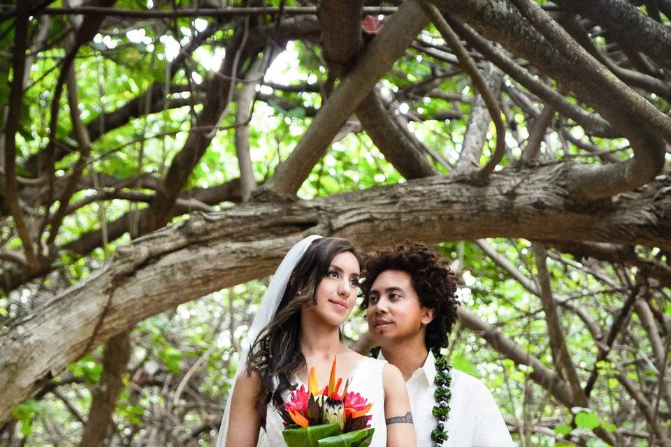 Hawaii Wedding