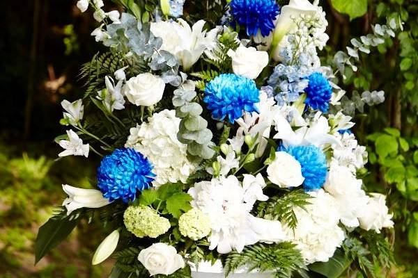 Coral Flowers