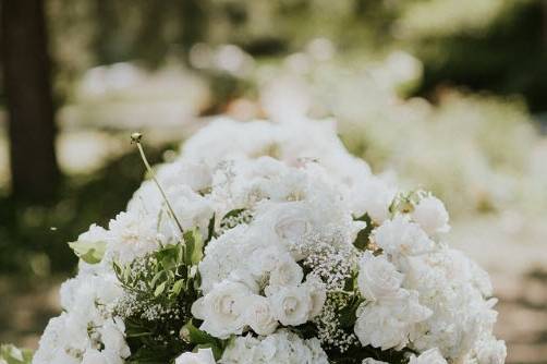 Barrel Flowers