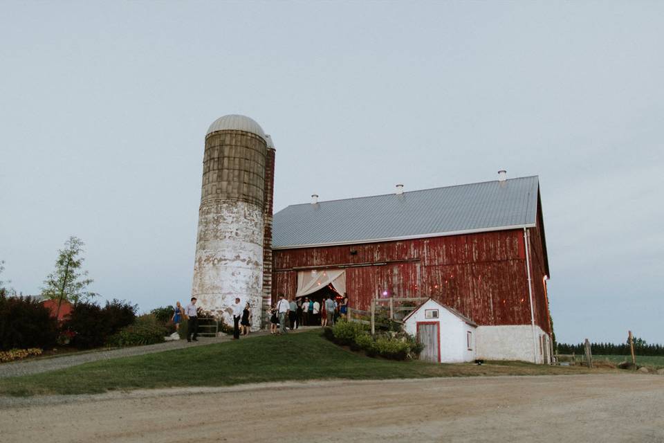 Day Barn