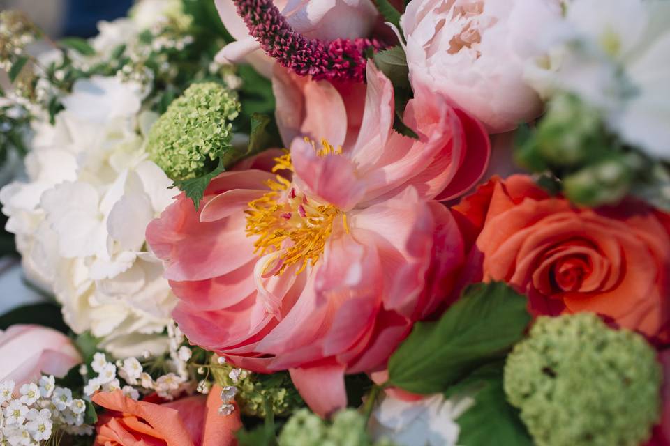 Coral Flowers