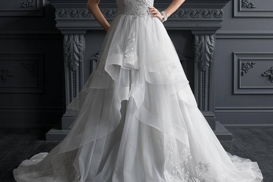 Princess gown with sparkle