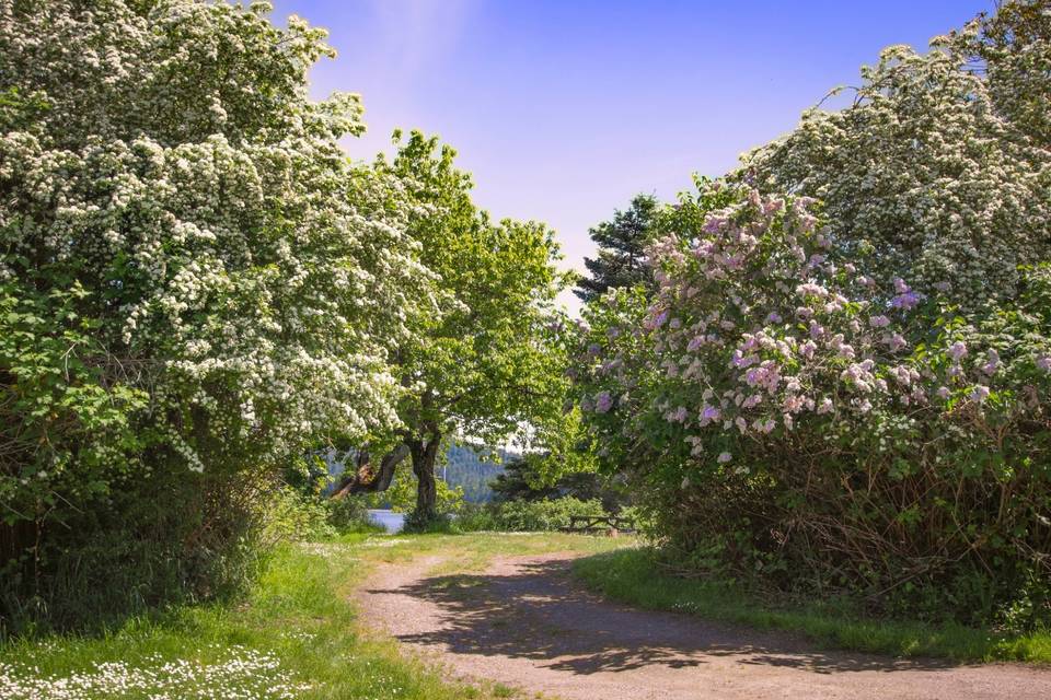 Oak Tree Entrance