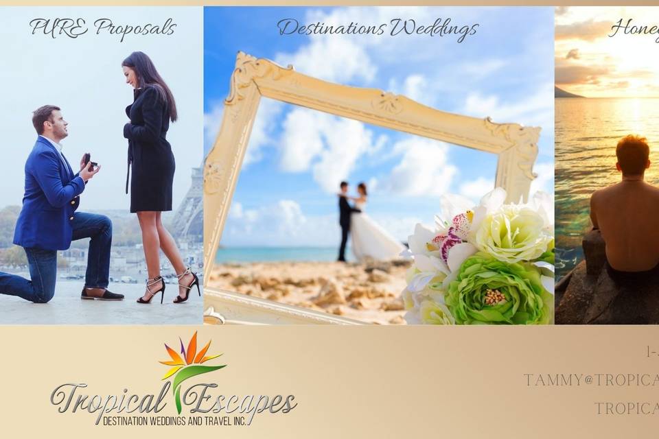 Tropical Escapes Destination Weddings & Travel