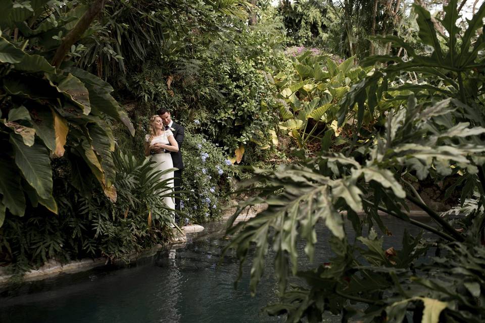 Tropical destination wedding