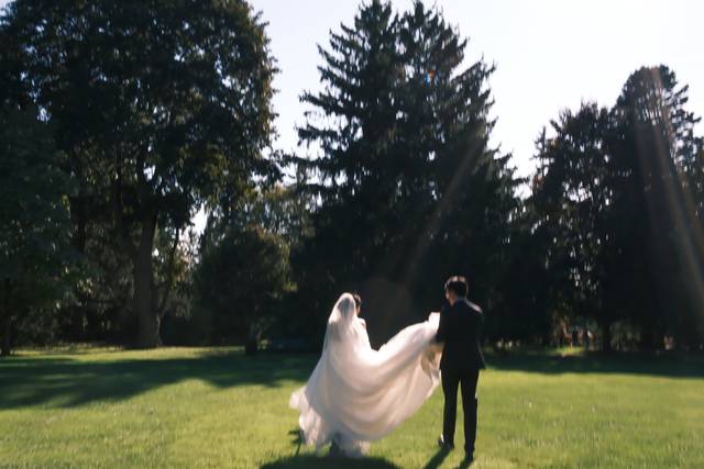 Walking Into Forever