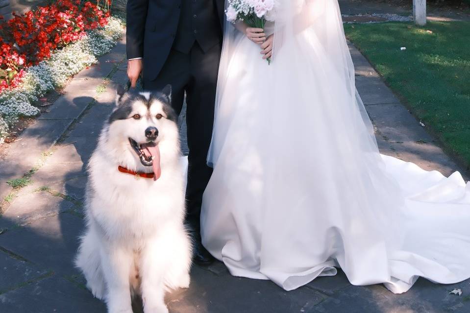 Love and Family