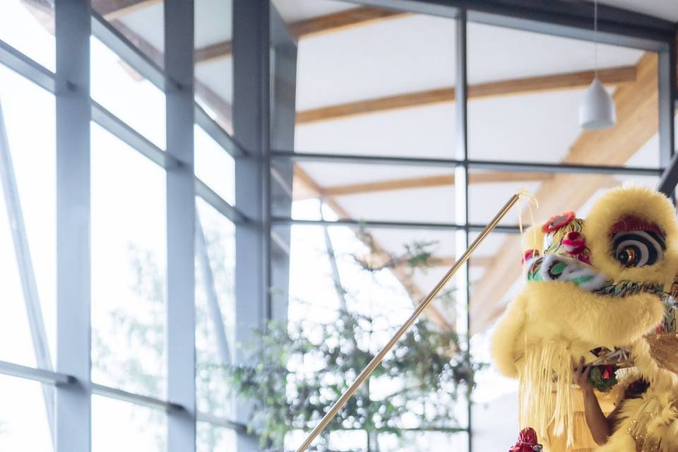 Lion Dancers at The RBG