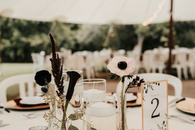 EventShine