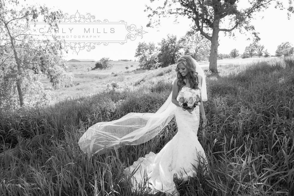 Carly Mills Photography
