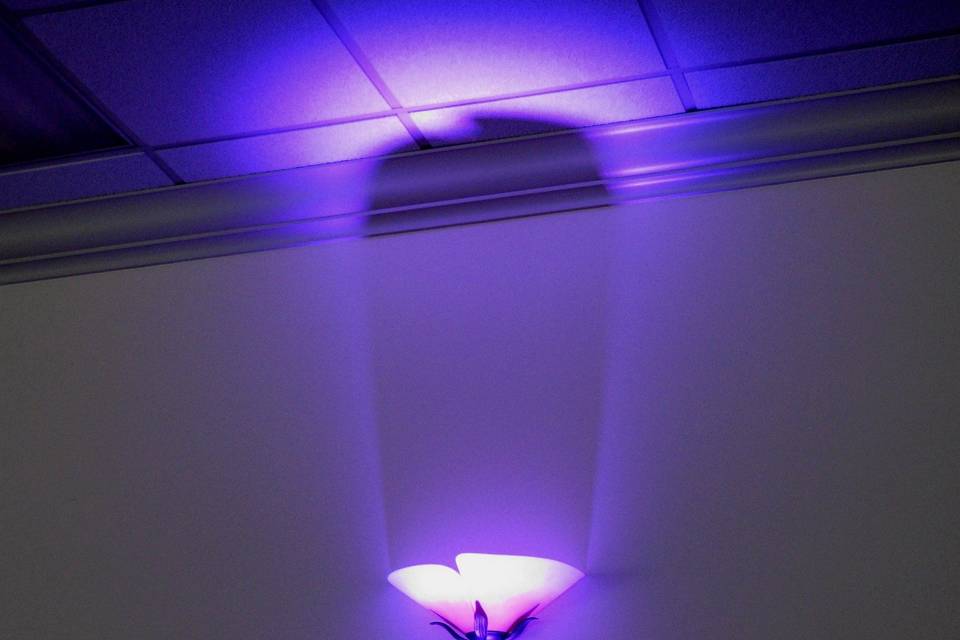 PURPLE WALL UPLIGHT