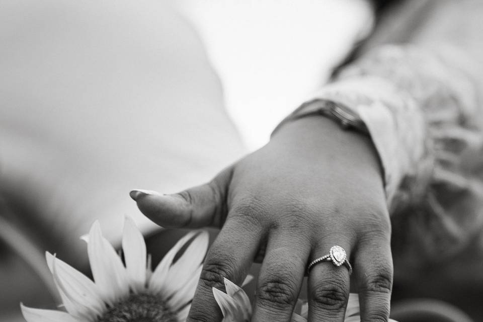 Proposal