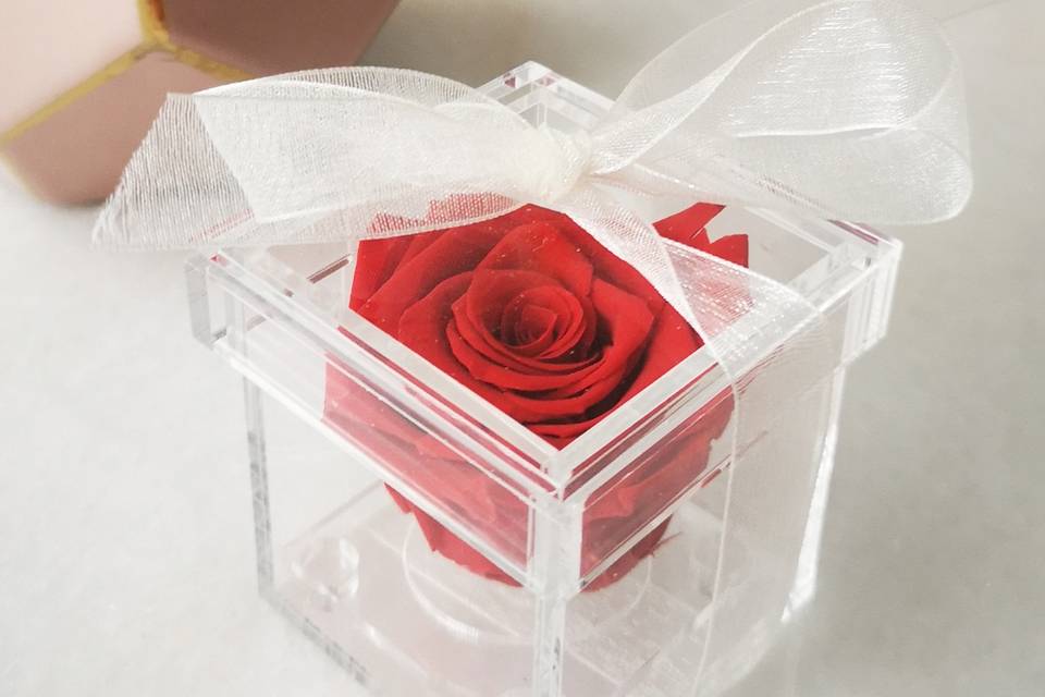 Preserved rose favours