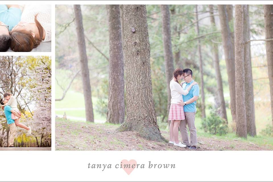 Tanya Cimera Brown Photography