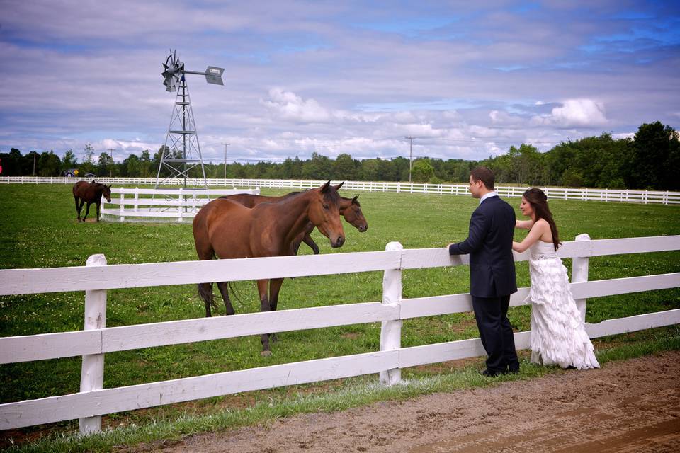 Outdoor wedding.jpg