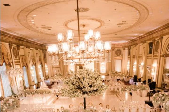 Elegant decor