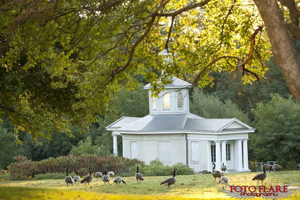 Picturesque place for vows