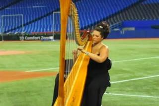 Divine Harp - Harpist