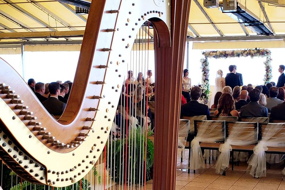 Divine Harp - Harpist