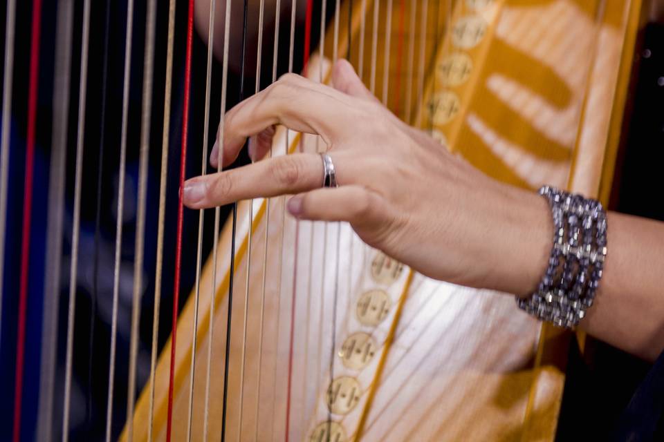 Divine Harp - Harpist