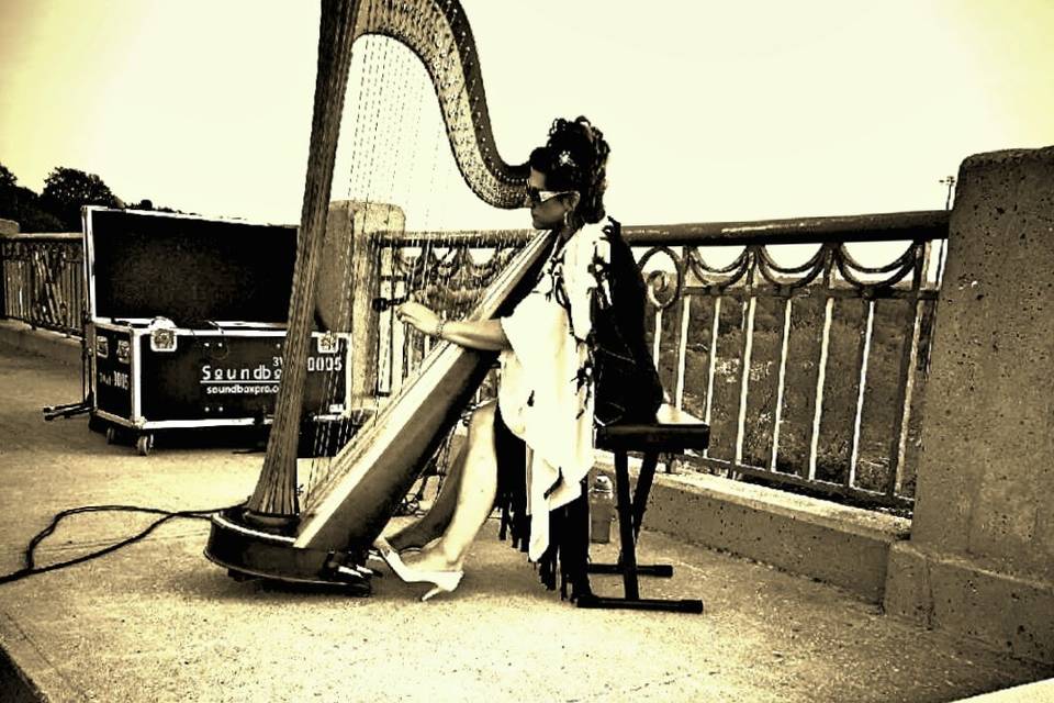 Divine Harp - Harpist