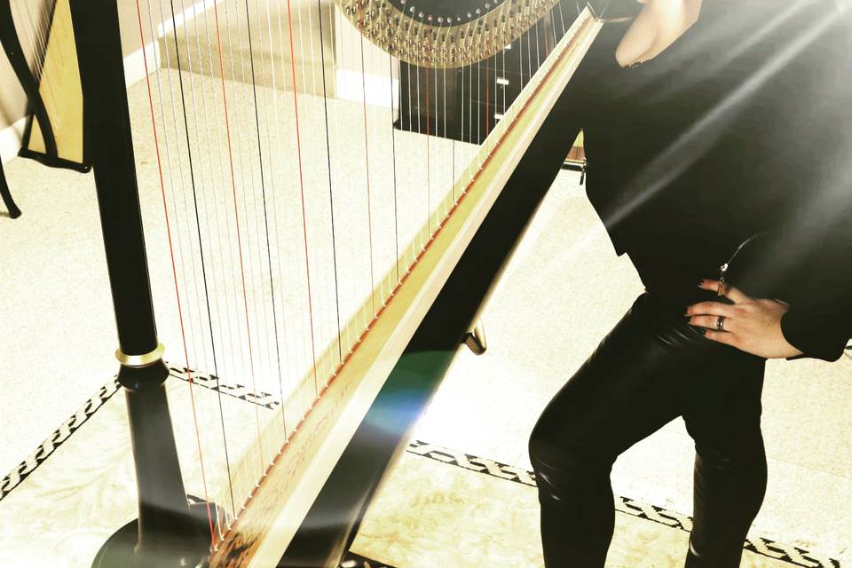 Divine Harp - Harpist