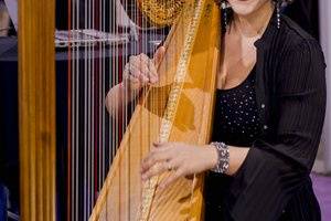 Divine Harp - Harpist