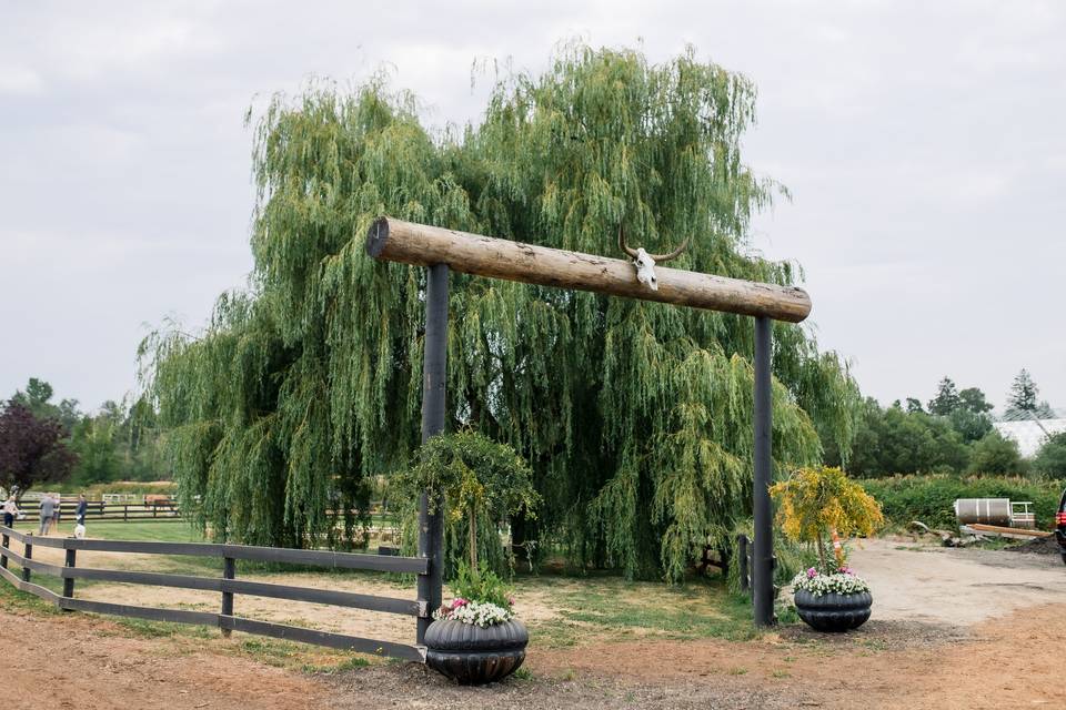 Willow Lake Farm & Stables