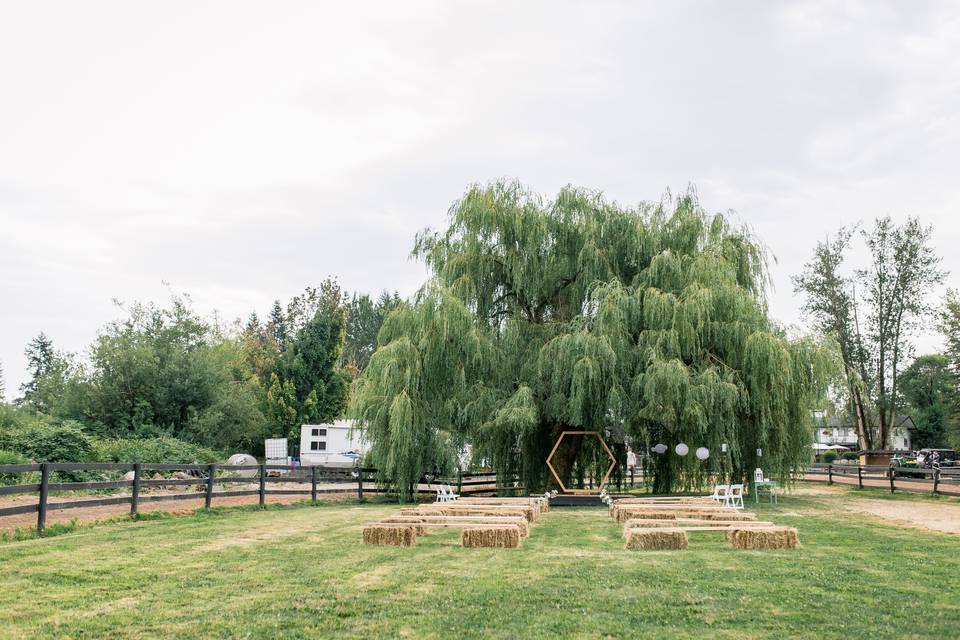 Willow Lake Farm & Stables