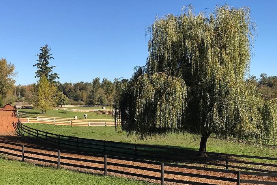 Grazing pastures