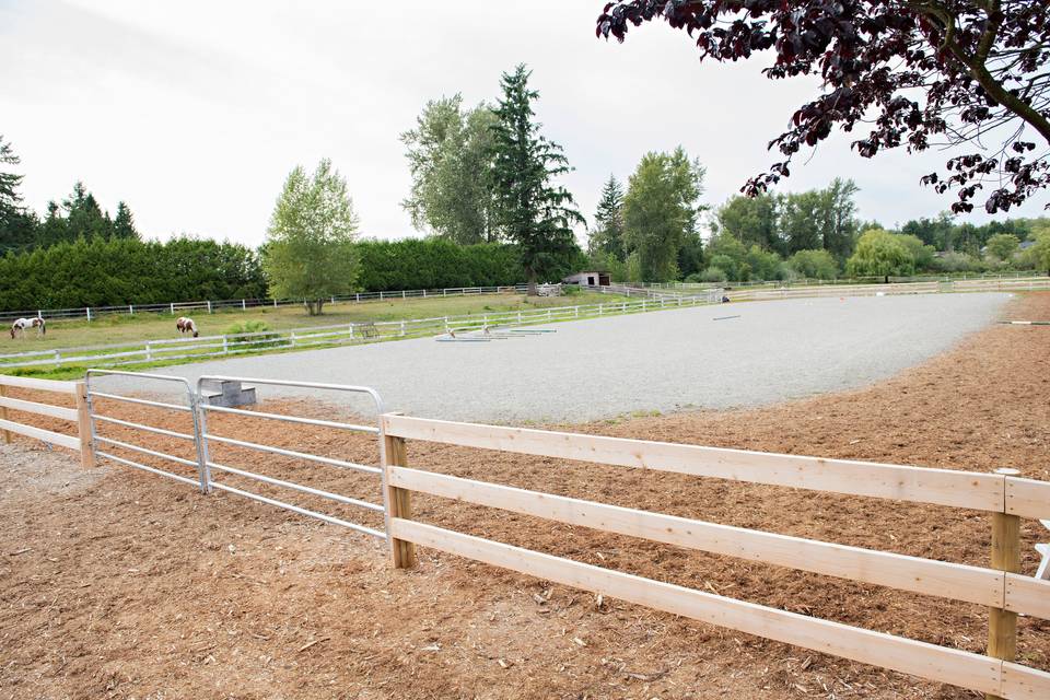 Riding ring - reception area