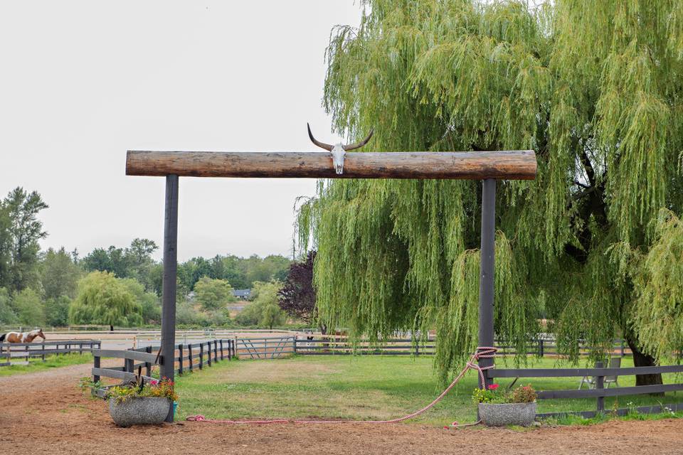 Willow Tree - ceremony area