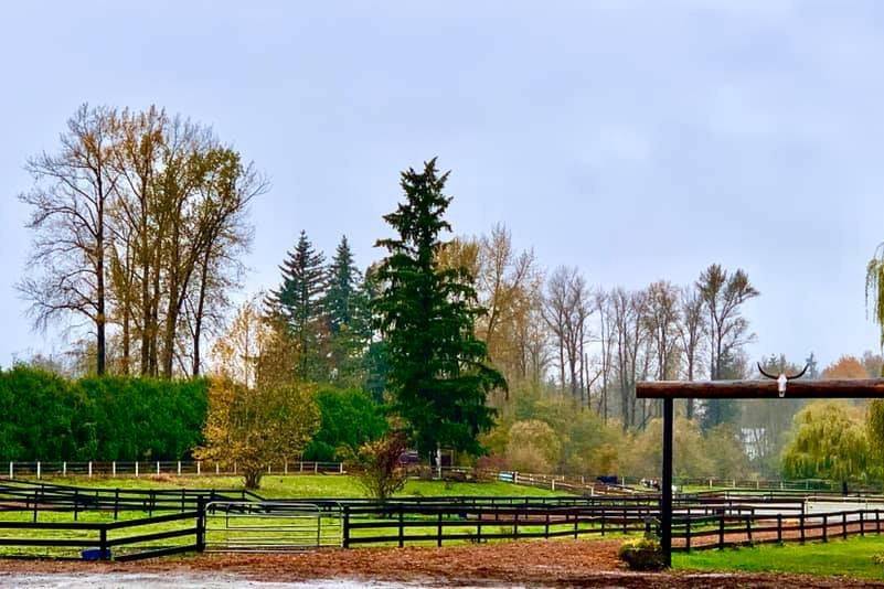 Willow Lake Farm & Stables