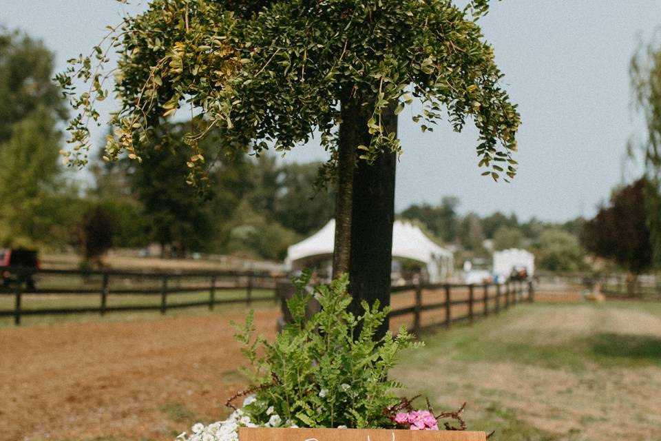 Willow Lake Farm & Stables