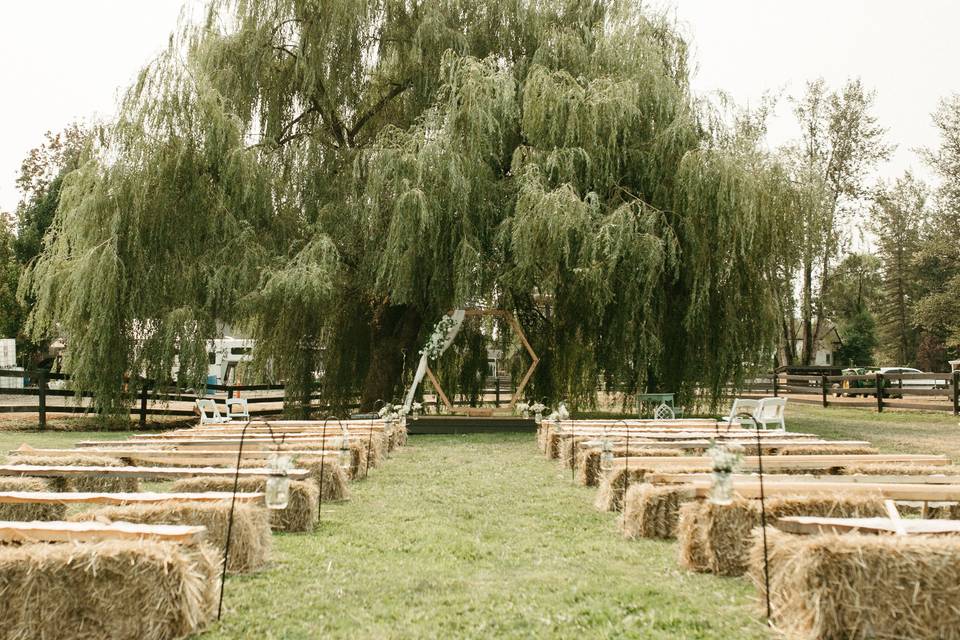 Wedding Field