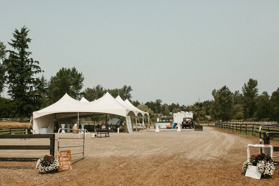 Reception Setup