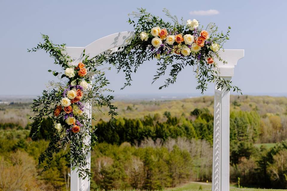 Ceremony Site - Arch Options