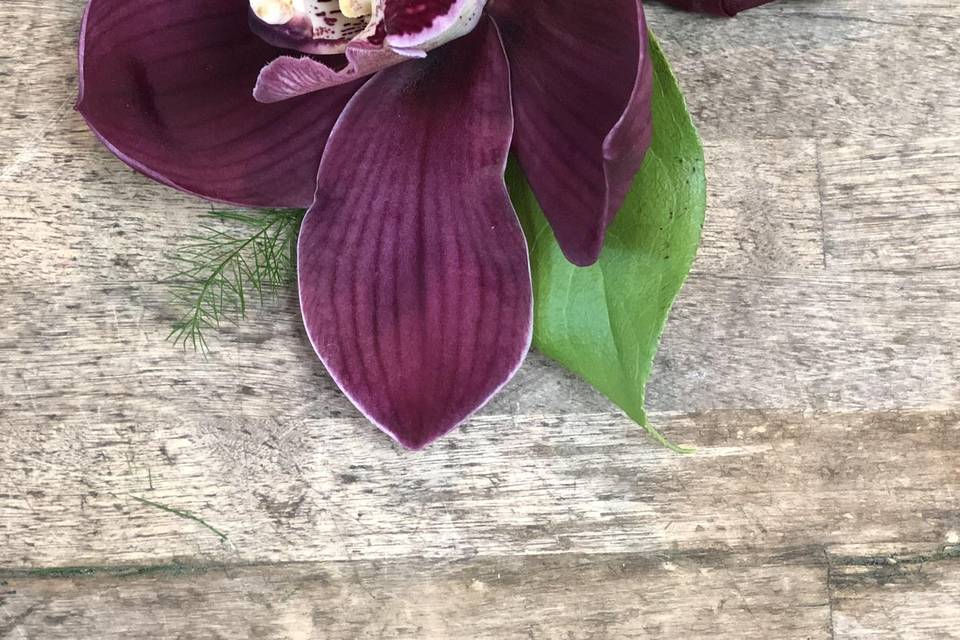 Burgundy orchid