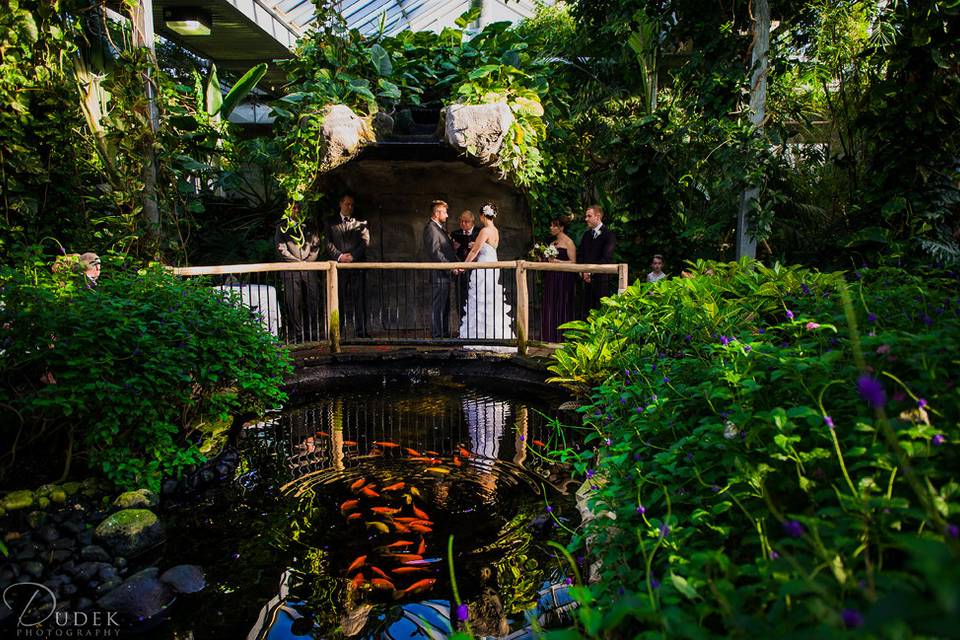 Cambridge Butterfly Conservatory