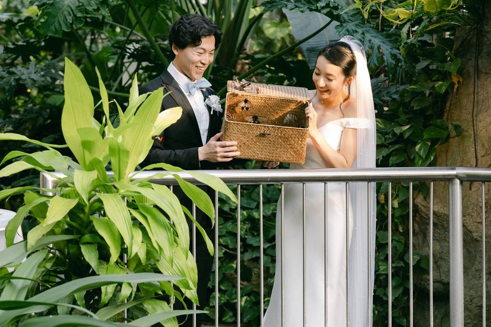 Butterfly Release
