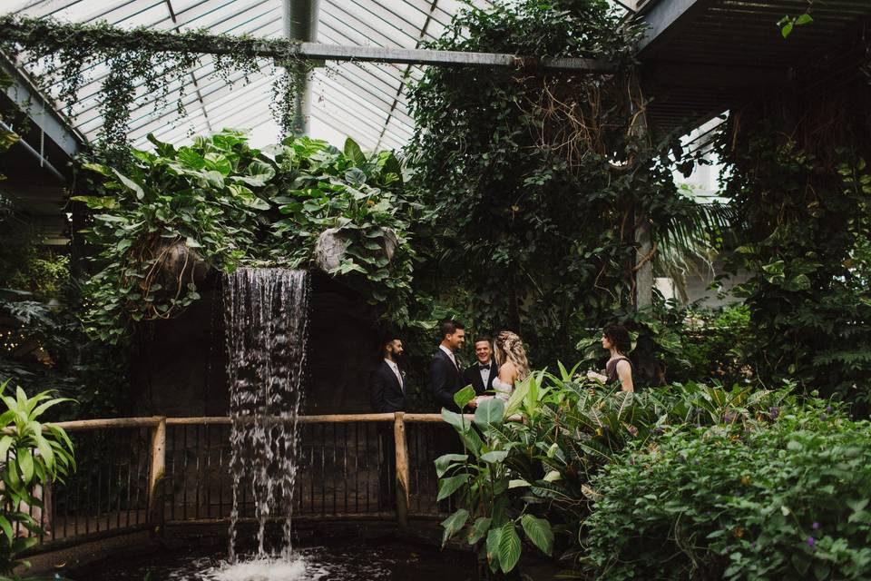 Wedding party by the waterfall