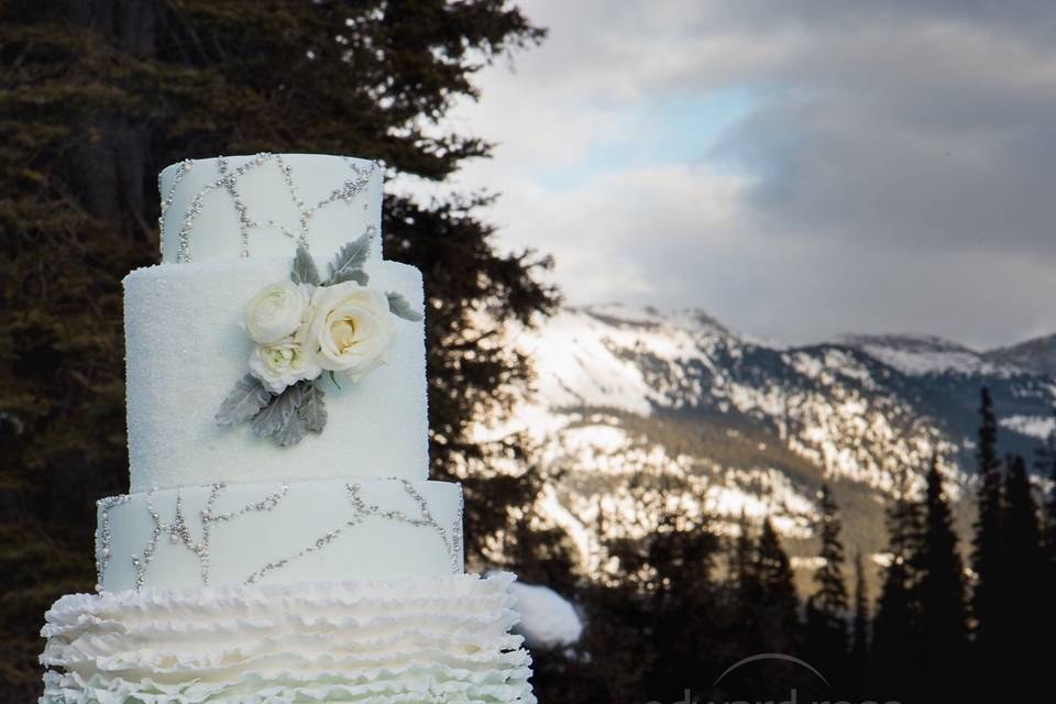 Stunning mountain ombré cake