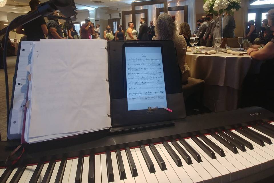 Wedding pianist