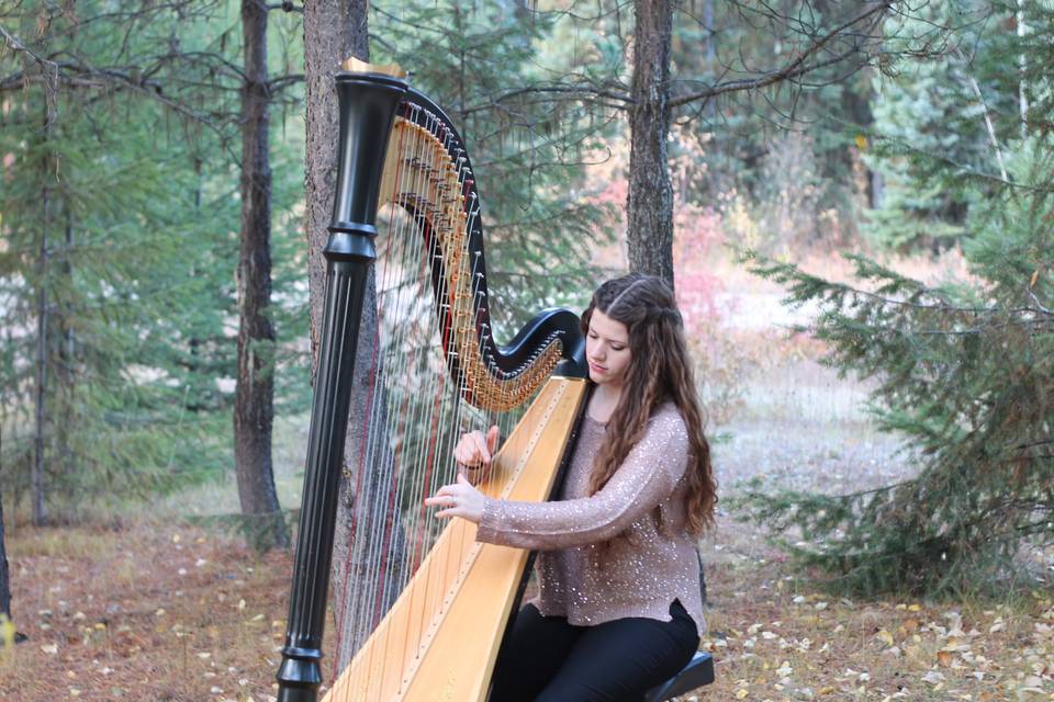 The Northern Harpist